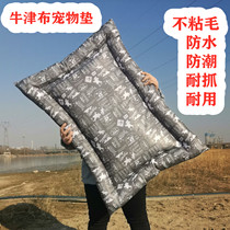 Four seasons available without stained waterproof and moisture resistant Dirty Dog Cat Mat Pet Nest of the Cat Nest teddy Kim Mauga