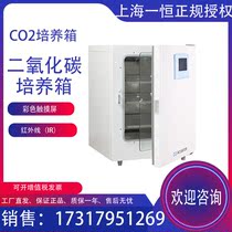 Shanghai Yiheng BPN-170RWP carbon dioxide incubator water jacket touch screen