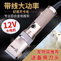 Professional Large Dog Pooch Shave High Power Suede Goat Electric Pushcut Long Woolen Rabbit Pet Pushers Electric Pushers