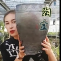 兰植汇苑的LOGO