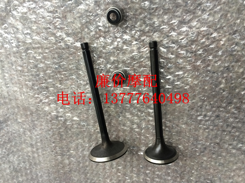 Motorcycle Accessories Magester YP250 Antonis Water Cooling 250 Valve Valve