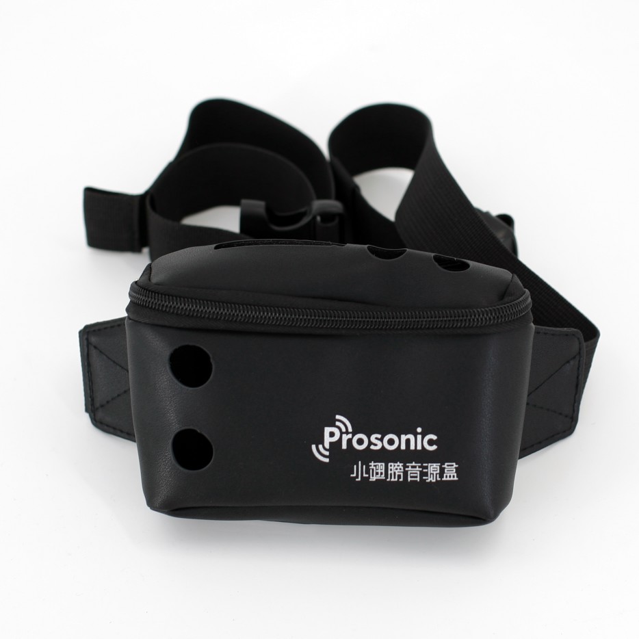 PROSONIC Small Wings Sound Source Case Dedicated Leather Bag Pocket