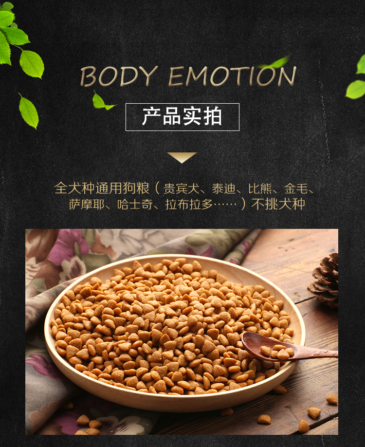Thú cưng Thức ăn cho chó Shangke 10 kg taidijinmaosamoye keki phổ biến loại 5 con chó con trưởng thành tất cả các giai đoạn - Chó Staples hạt ganador