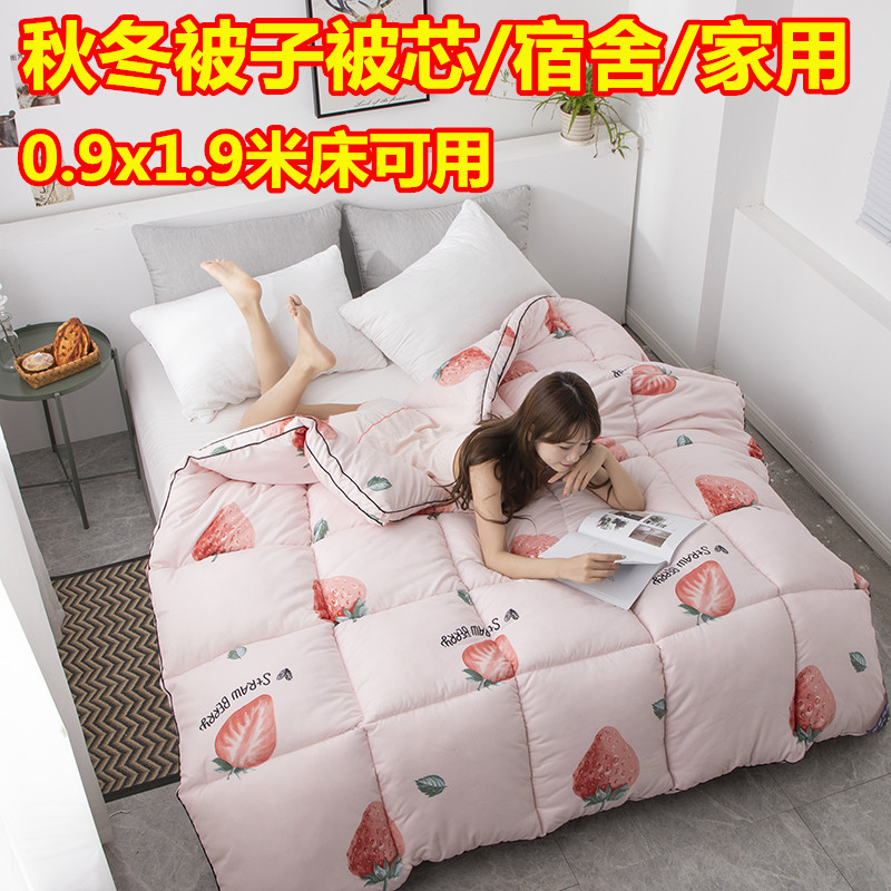 Quilt Winter Quilt by Core Single Double Student Dormitory Quilt 1 5x2 0m Bed Thickened Warm 180x220x2 3