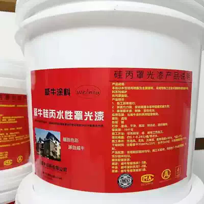 Water-borne clear environmental odor waterproof durable antifouling yi ca xi finish Art paint oil increase the glossiness