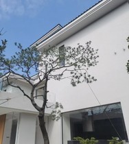 Exterior wall paint latex paint outdoor waterproof paint white latex paint waterproof sunscreen top paint adjustable color paint