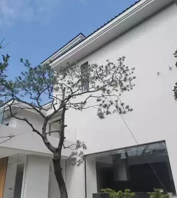 Exterior wall paint latex paint outdoor waterproof paint white latex paint waterproof sunscreen top paint adjustable color paint