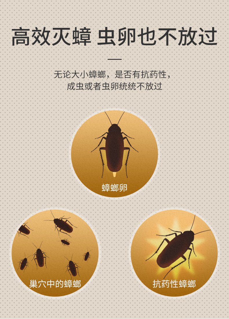 日本安速 小黑帽 灭蟑螂神器 12枚装 图5