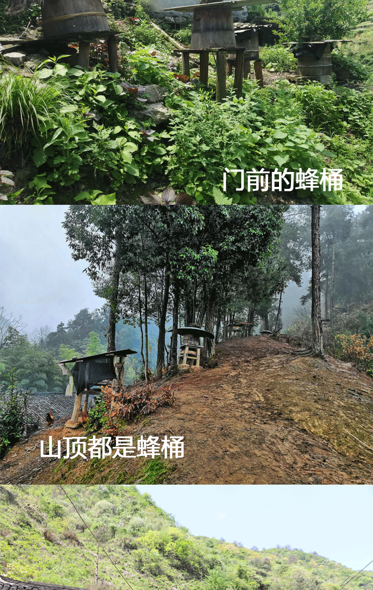 Untitled -1_12.gif