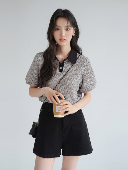 蓝若水大码女装肌理感正肩Polo衫2025新款胖MM夏装复古显瘦上衣