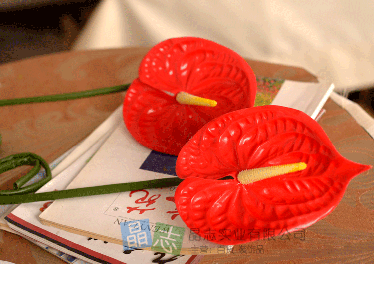 Đồ nội thất cao cấp bằng nhựa đơn màu đỏ mô phỏng anthurium 绢 hoa trang trí nhà trang trí đám cưới - Hoa nhân tạo / Cây / Trái cây cây hoa giả