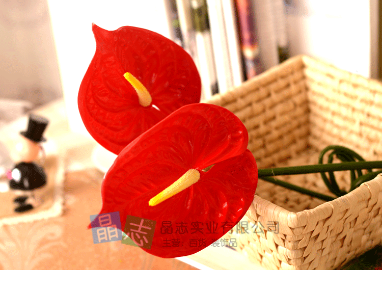 Đồ nội thất cao cấp bằng nhựa đơn màu đỏ mô phỏng anthurium 绢 hoa trang trí nhà trang trí đám cưới - Hoa nhân tạo / Cây / Trái cây cây hoa giả