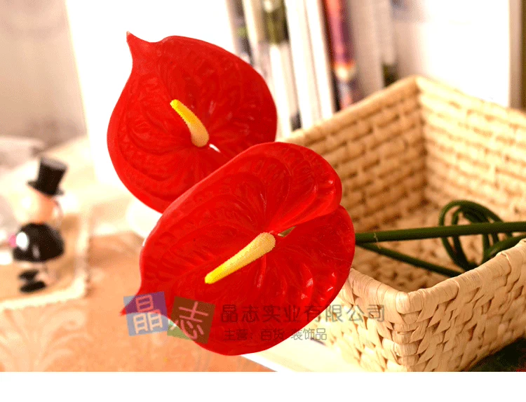 Đồ nội thất cao cấp bằng nhựa đơn màu đỏ mô phỏng anthurium 绢 hoa trang trí nhà trang trí đám cưới - Hoa nhân tạo / Cây / Trái cây