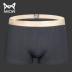 MiiOW / cat man cotton boxer liền mạch quần quần boxer thoải mái thể thao eo trẻ trung đồ lót gợi cảm nam quan lot nam trung nien Võ sĩ quyền Anh