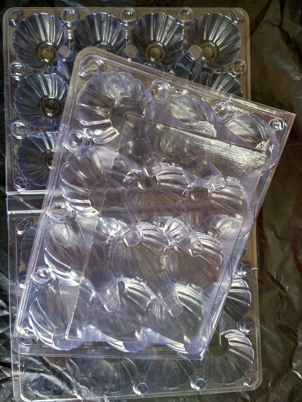 12 Big Egg Big Pigeon Egg Born Egg Smold Plastic Egg Track Plastic Packaging Box