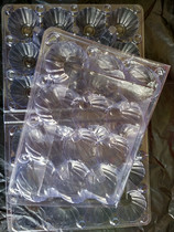 12 wild eggs big pigeon eggs newborn eggs blister plastic egg tray blister plastic packaging box