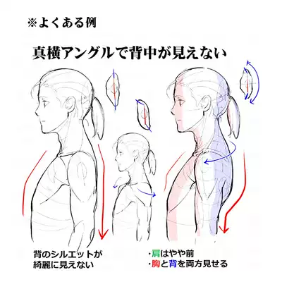 艺用解剖线稿人体结构骨骼肌肉动漫场景漫画绘画参考素材6568