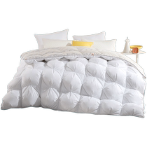 LOVO Leuchlea Home Textile Bed bedding Down quilted by antibacterial anti-mite 95 White goose down Thickened Warm Quilt by autumn and winter thickened