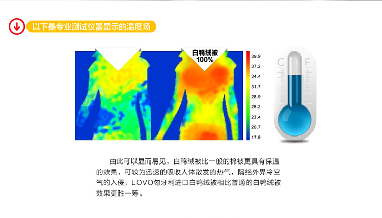 匈牙利白鴨絨被-改_17.jpg