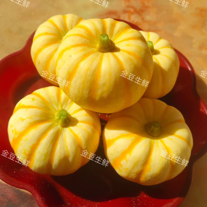 精品太阳果迷你金桔南瓜贝贝小金瓜，适合万圣节雕刻装饰吗？2026年最新潮流趋势解读