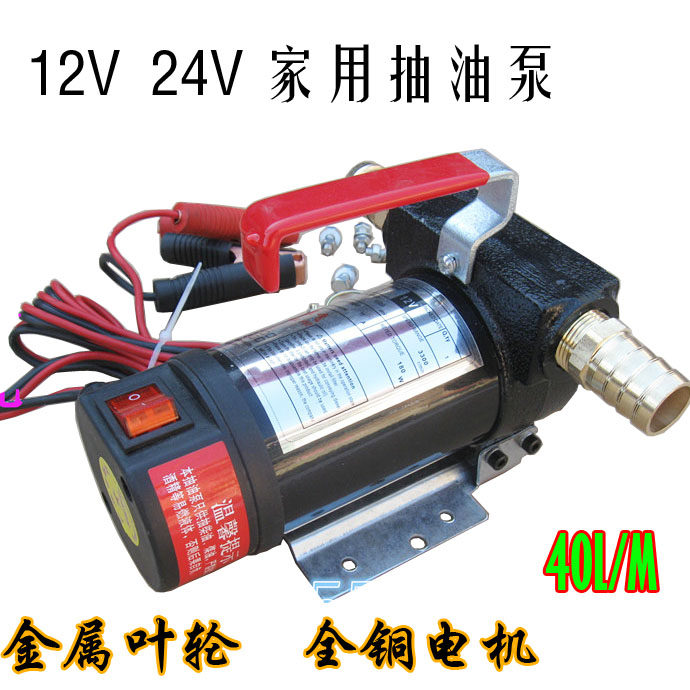 Positive and reverse 12V24V diesel DC pump self-priming pump household electric portable small oil pump 220V