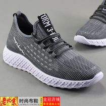 2020 Autumn old Beijing cloth shoes mens net shoes comfortable and breathable light mens shoes casual low driving travel shoes tide