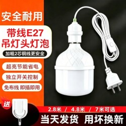 Led Energy-Saving Light Bulb with Cable, E27 Screw Base, Ultra-Bright Light with Switch, Lighting Fixture, Household Lamp Head