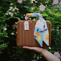 Marriage with hand gift bridesmaid best man Oshu Dan high-end net red retro practical suitcase girlfriends gift box empty