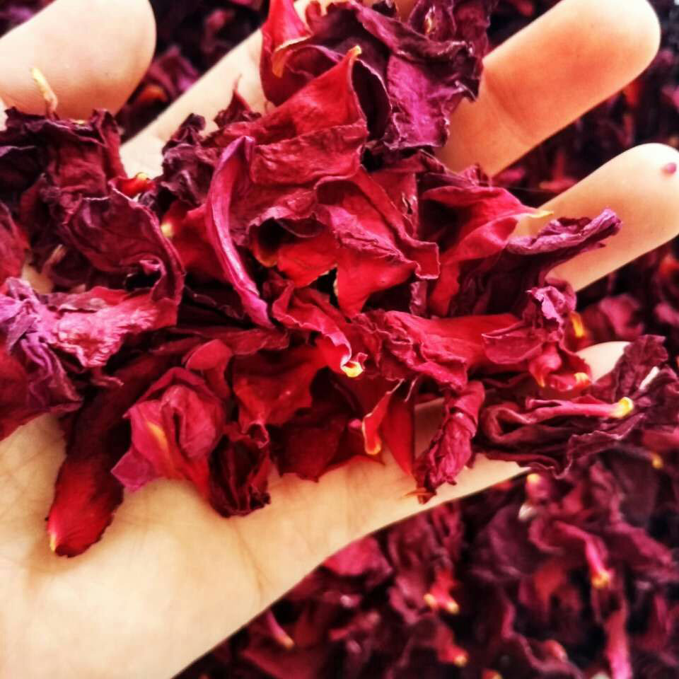 New bubble wine Topical dried herbs Big red moon flower petals Dry petals tendons and bones pain fracture sprain swelling 20g