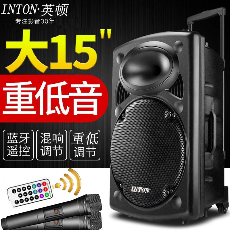 Electronic violin speaker 12 inch battery charging instrument sound box Bluetooth Outdoor speaker