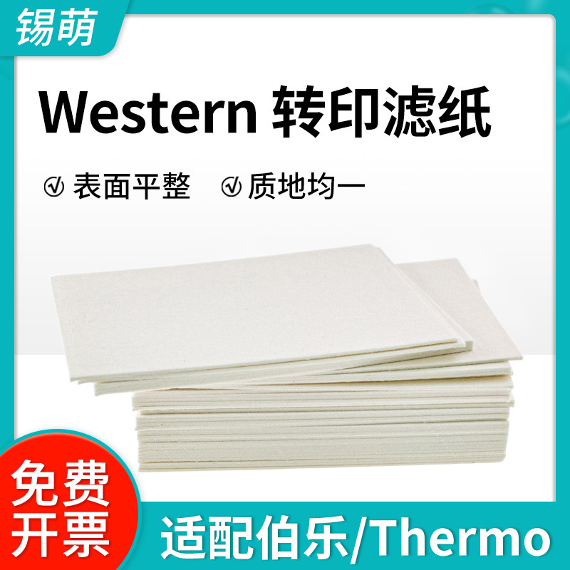 Wb转印滤纸湿转Western blot适用伯乐/天能/六一/Thermo转膜滤纸