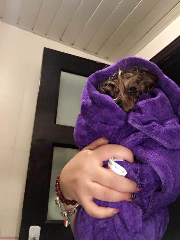 Large size ultra good with pet strong absorbent fiber cotton bath towels with soft hair care shortening blow time 140 by 70cm