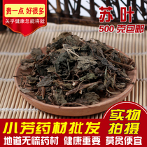 Perilla leaf Chinese medicinal materials perilla leaf edible tea wild perilla stalk powder perilla cotyledon roasted fish and a complete collection of Chinese herbal medicines for removing fishy smell.