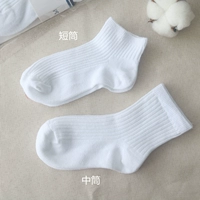 Белый, средней длины