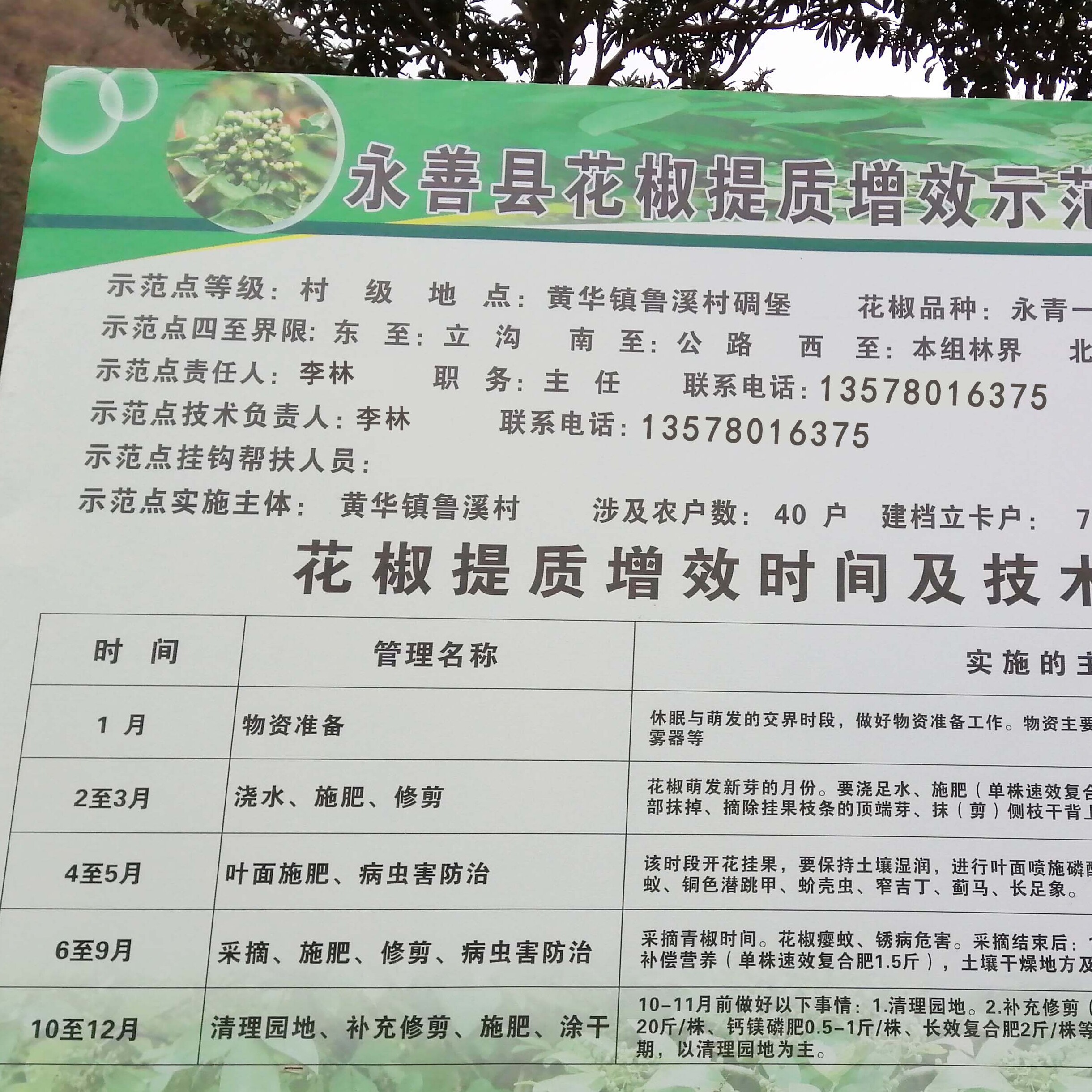 椒小农云南永善花椒种植基地