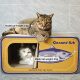 Canned fish cat scratching board corrugated paper integrated cat scratching nest BB scratch scratcher wear-resistant cat scratcher large size pet