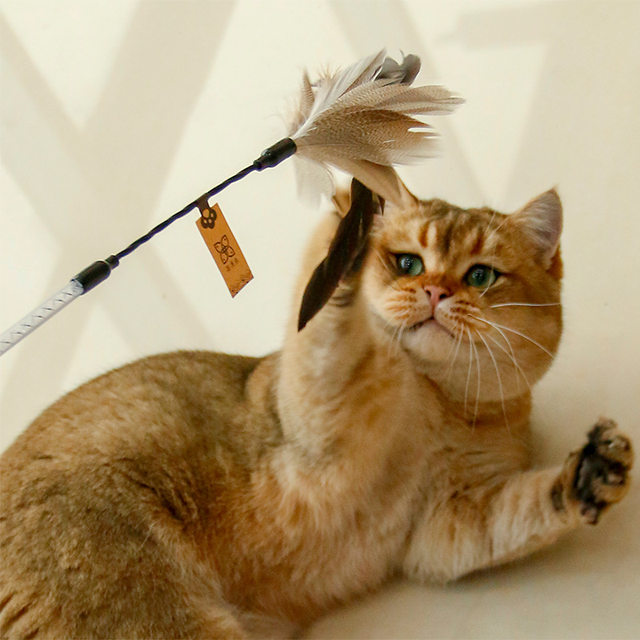 Ye Zaijia Feather Bell Bionic Bird Self-Happiness Cat Stick Original Eco Fairy Stick Cat Toy Pet Supplies