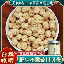 Fritillaria 100g Wild Special Grade Non-Wild Fritillary Powder Cough Relieves Lungs and Moisturizes Sulfur-Free Chinese Medicinal Fritillary Fritillaria
