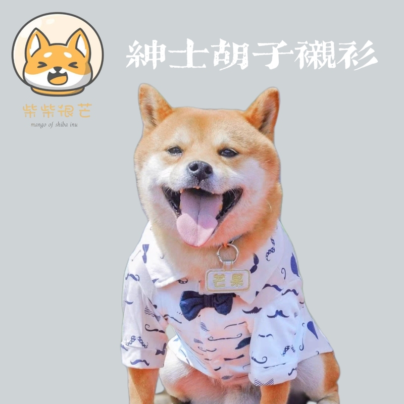Dog and Cat Clothes, Autumn and Winter Thin Suits, Printed Shirts, Spring and Summer Pet Clothing for Cats, Teddy, Small and Medium-Sized Dogs