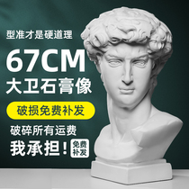 David Gypsum statue art teaching aids Avatar plaster sculpture plaster model sketch plaster Avatar plaster portrait