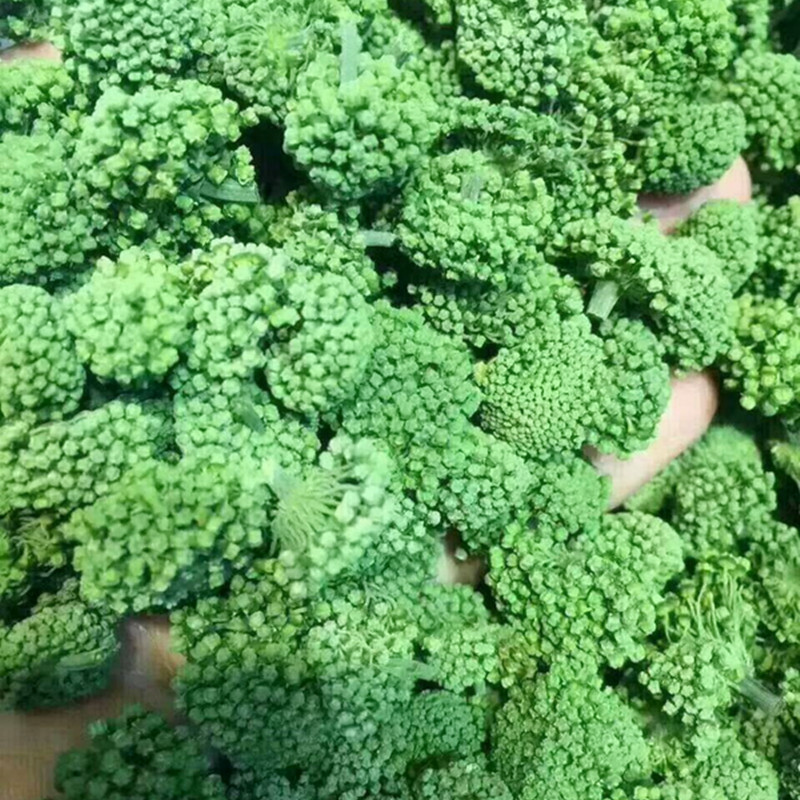 San - Seven Huang Tea 500g bulk special Yunnan Wenshan Wild four years, three - seven flowers of efficacy 37 flowers