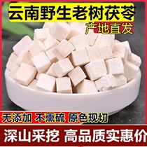 Yunnan Wild China China White China White Poria Powder poria Chinese herbal medicine Yunling block without sulphur staying porridge tea to cook the soup to dispel moisture