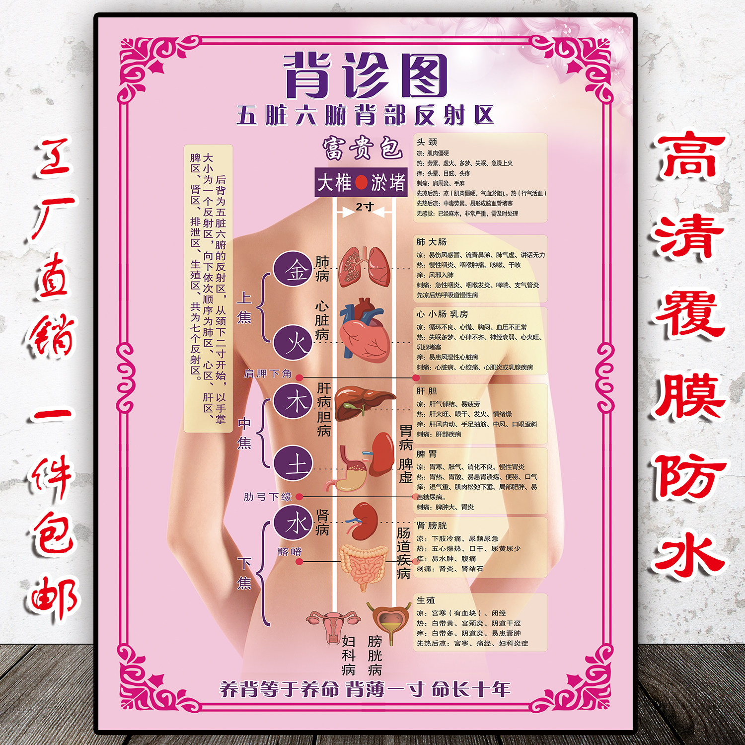 Consultation Photo Beauty Salon Poster Customized Chinese Medicine Health Preservation Hall Publicity Painting Five Dirty Six-Visceral Back Reflex Zone Wall Chart Meridians