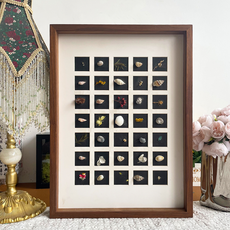 Shell Hollow Mortise and Tenon Three-Dimensional Photo Frame Collection Frame Plant Specimen DIY Dust-Proof Display Frame Storage Display Stand Hanging
