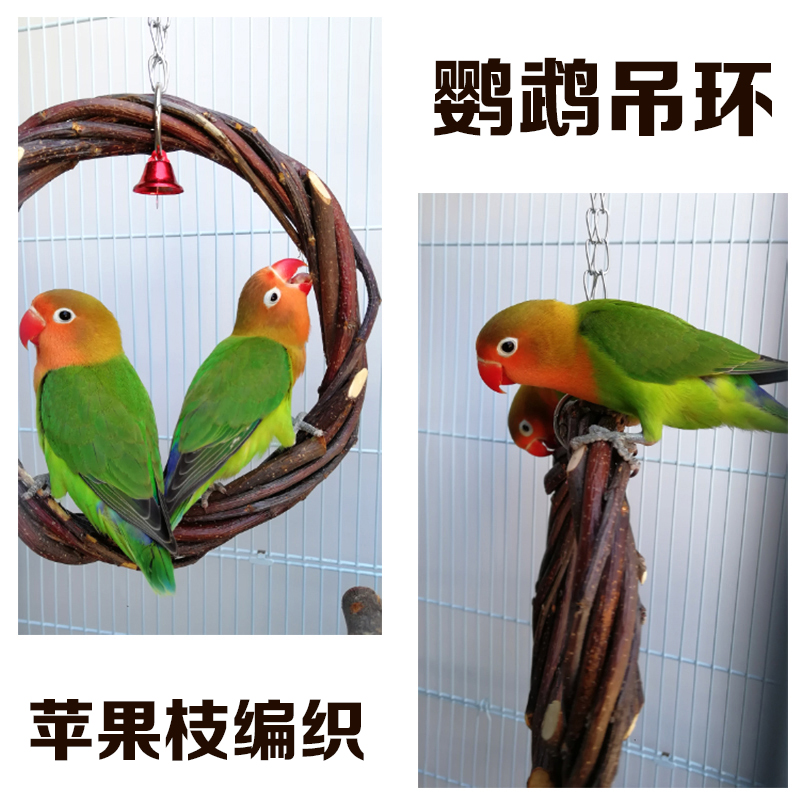 Parrot Rings Bird Swing Apple Branch Braided Rings Bird Toys