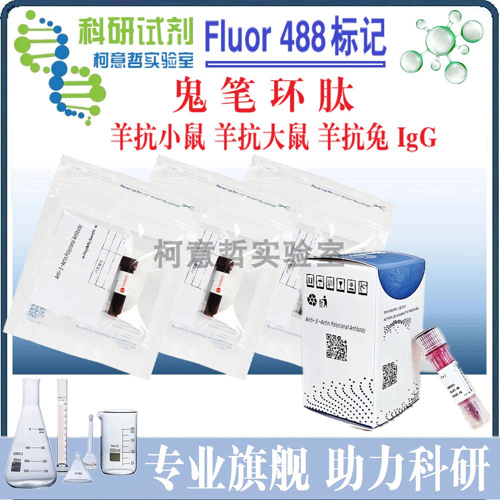 Alexa Fluor 488标记的 SF488 羊抗小鼠 羊抗大鼠 羊抗兔 IgG H&amp;L