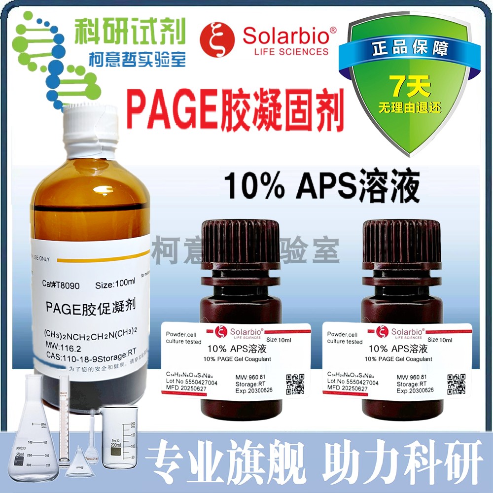 10% APS溶液 10%PAGE胶凝固剂 APS干粉 凝胶快速制备电泳[索莱宝]