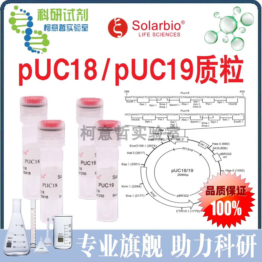 pUC19 pUC18 质粒载体 20ug 基因工程菌种质粒 2686bp [索莱宝]