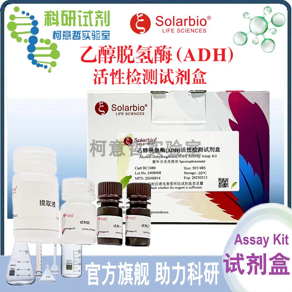 乙醇脱氢酶(ADH)活性检测试剂盒 紫外分光光度法 微量法 [索莱宝]