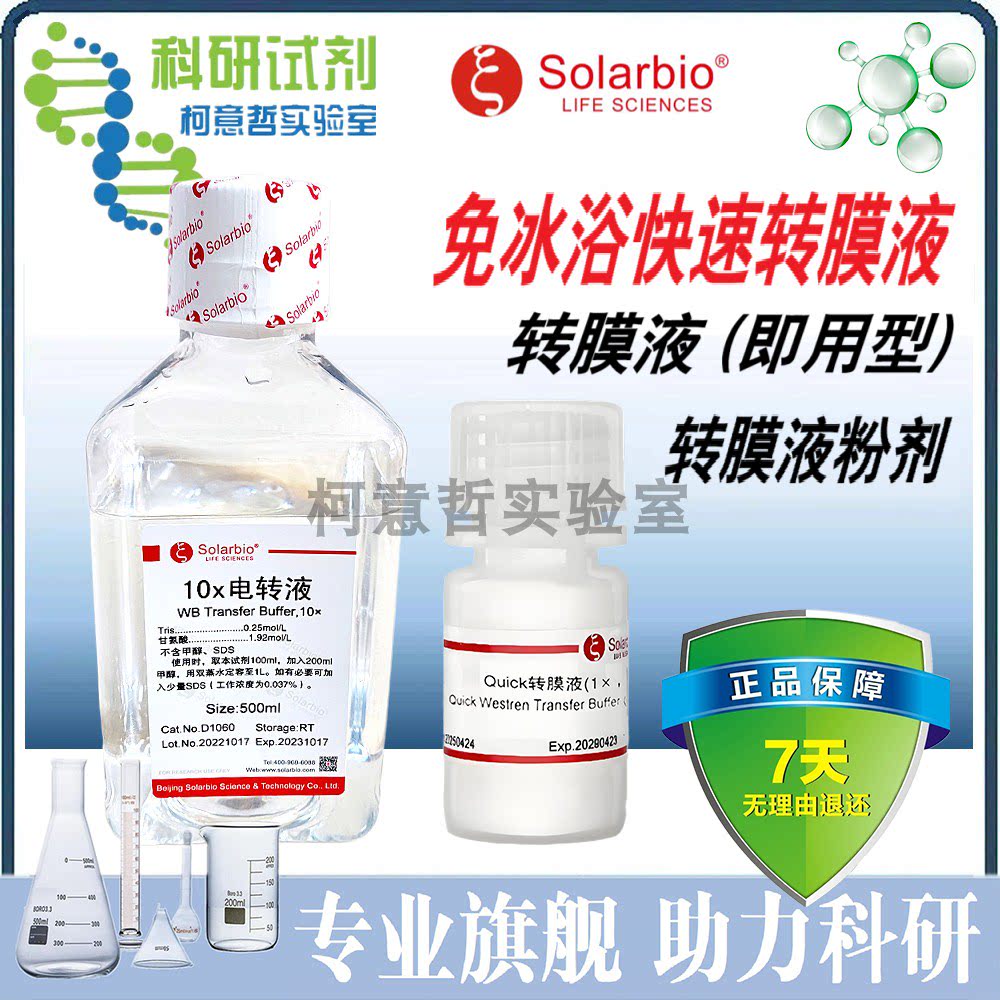 免冰浴快速电泳转膜液 10&times;电转液 蛋白电泳转移液粉剂 [索莱宝]